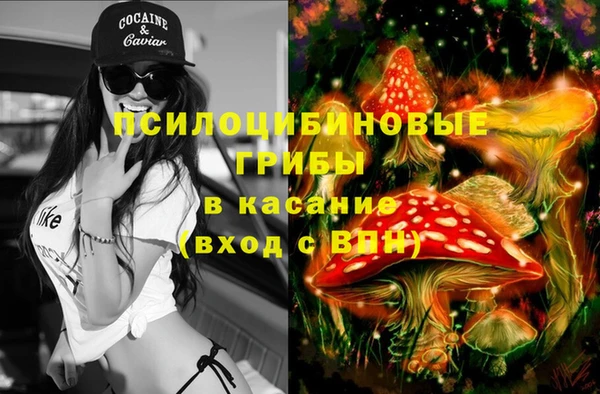 mdpv Касимов