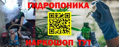 стафф Аргун