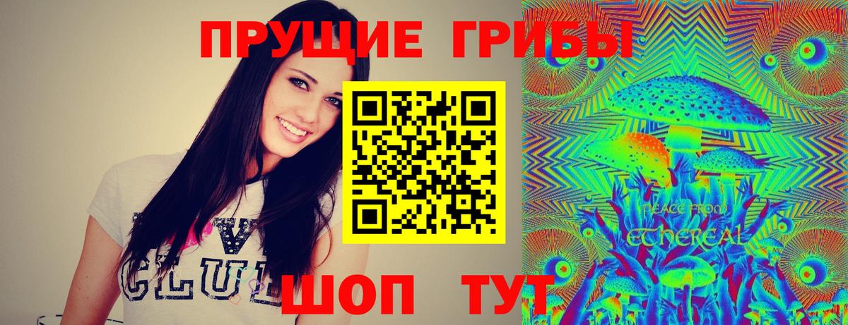 Псилоцибиновые грибы Psilocybine cubensis  Бийск 