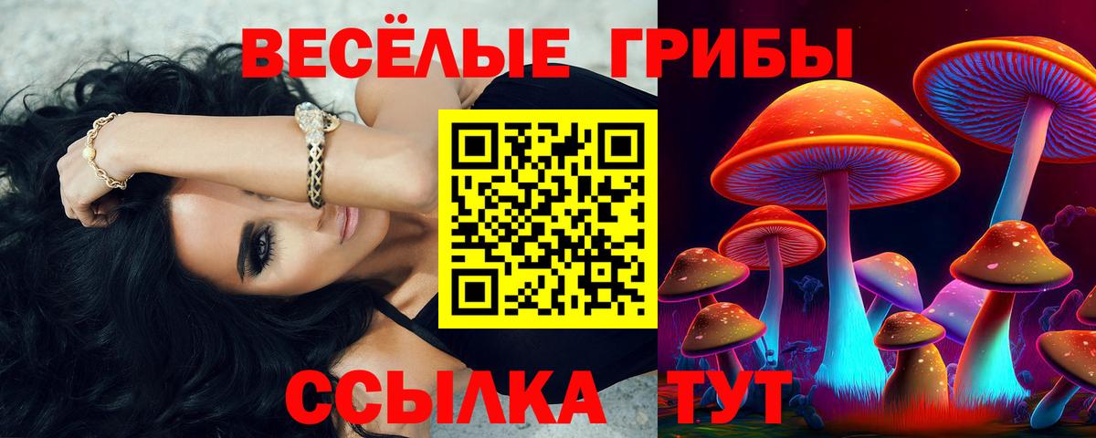 Галлюциногенные грибы прущие грибы Бийск