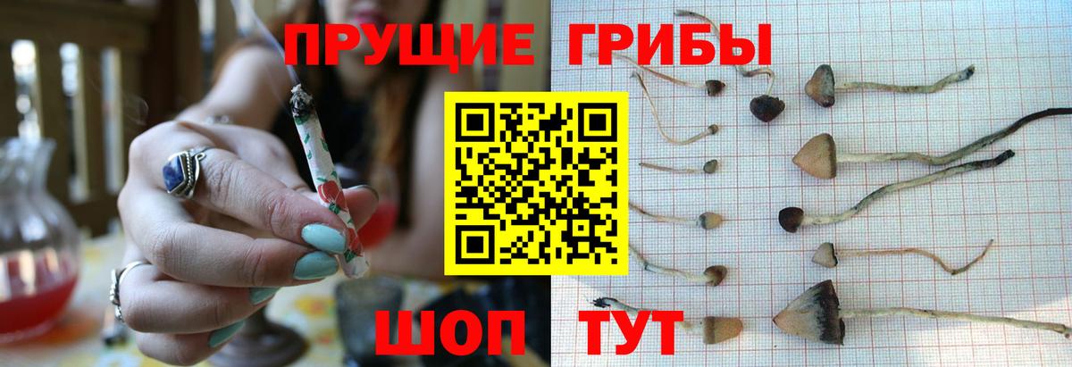 Псилоцибиновые грибы Magic Shrooms  Вход с VPN  Бийск 
